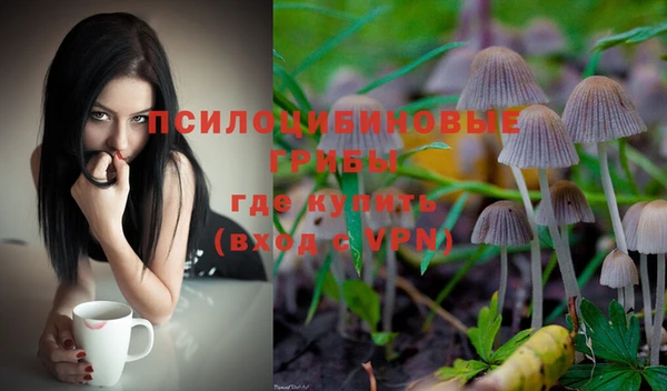 кокс Пересвет