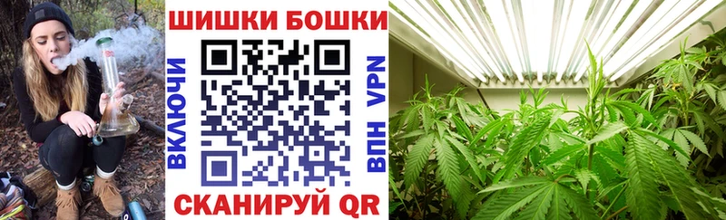 Канабис семена  Тайга 